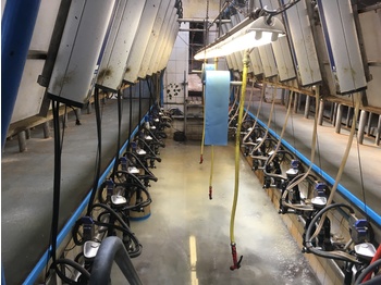 Milking equipment DELAVAL 2X10 side-by-side: picture 1