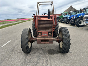 Fiat 680 DT - Farm tractor: picture 2