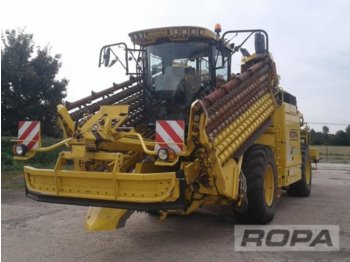 Beet harvester ROPA euro-Maus 4: picture 1