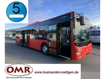 City bus MAN A 20 / A 21 / Lion's City / Citaro / 530 / EEV: picture 1