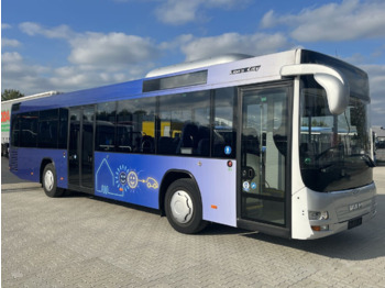 MAN A 78 Lion´s City Überlandbus - Suburban bus: picture 1
