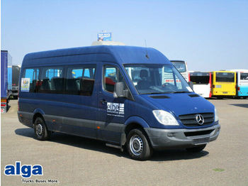 Minibus, Passenger van Mercedes-Benz 315 CDI Sprinter, 14 SItze, Klima, Hebebühne: picture 1
