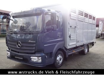 Closed box van for transportation of animals Mercedes-Benz 821L" Neu" WST Edition" Menke Einstock Vollalu: picture 1