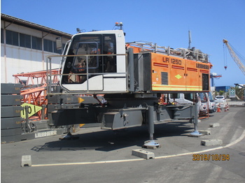 Crawler crane Liebherr LR1250