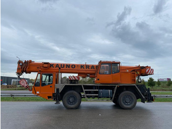 Mobile crane DEMAG