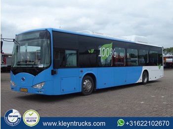 Car BYD EBUS 12 GREENCITY full electric: picture 1