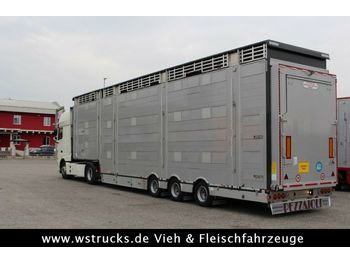 Livestock semi-trailer Pezzaioli SBA31-SR 3 Stock Vermietung
