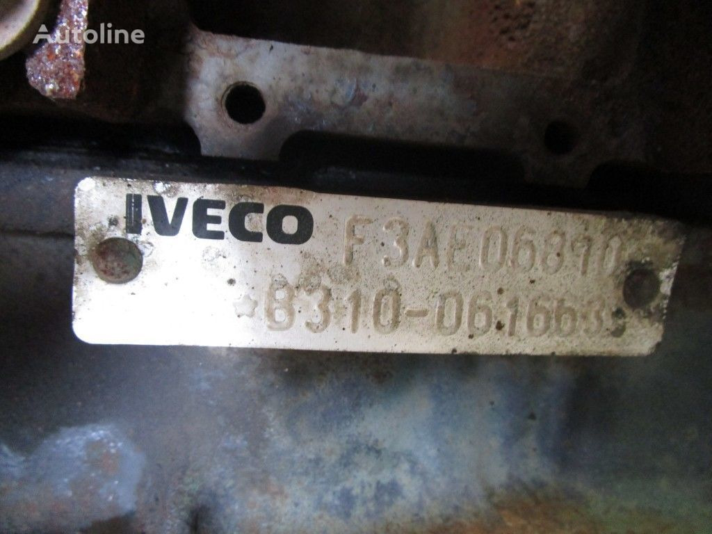 Engine for Truck IVECO F3AE0681   IVECO STRALIS: picture 3