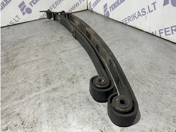 Steel suspension for Truck Scania: picture 2