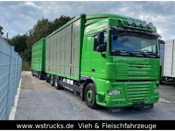 Livestock truck DAF  XF 105/460 SC Menke 3 Stock Hubdach: picture 1