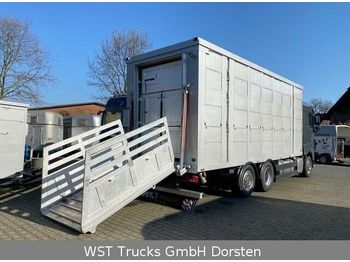 Livestock truck DAF XF 480 "Neu"  Menke 3 Stock Hubdach: picture 1