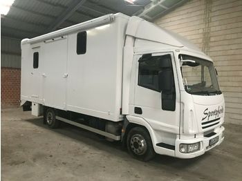 Livestock truck Iveco Pferdetransporter