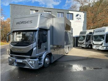 Livestock truck Iveco Pferdetransporter