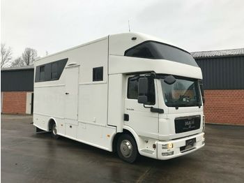Livestock truck MAN Pferdetransporter