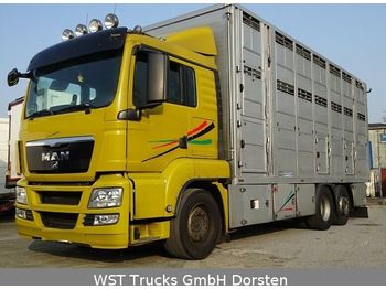 Livestock truck MAN TGX 26.440 LX Menke 3 Stock