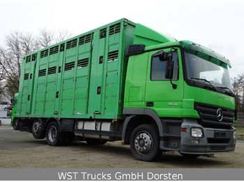 Livestock truck Mercedes-Benz Actros 2541 Menke 3 Stock Vollalu