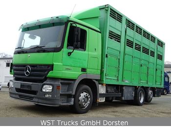 Livestock truck Mercedes-Benz Actros 2541 Menke 3 Stock Vollalu