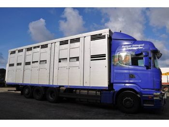 Livestock truck SCANIA R480LB8X4*4HNB