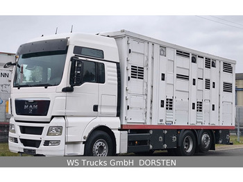 Livestock truck MAN TGX 26.440