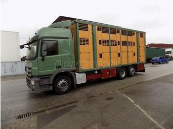 Livestock truck MERCEDES-BENZ Actros 2541: picture 1