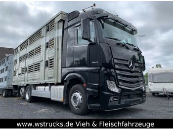 Livestock truck Mercedes-Benz 2542 Finkl 3 Stock Black Edition Vollausstattung: picture 1
