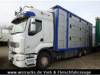 Livestock truck Renault 450 DXI  Menke 3 Stock Hubdach: picture 1
