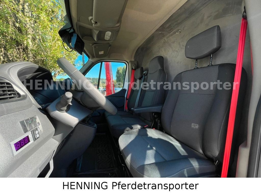 Horse truck Renault Master 3 - Sitzer *HENNING LIGHT*: picture 14