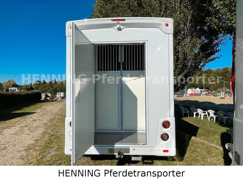Horse truck Renault Master 3 - Sitzer *HENNING LIGHT*: picture 6