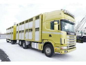 Livestock truck SCANIA SCANIA R164 R164: picture 1