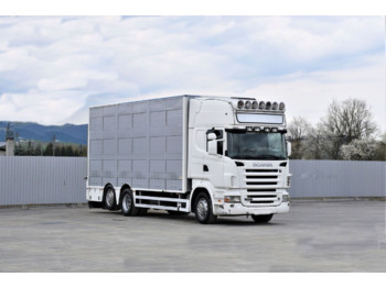 Horse truck Scania R 500 TIERTRANSPORTWAGEN 7,10m / 4STOCK: picture 2