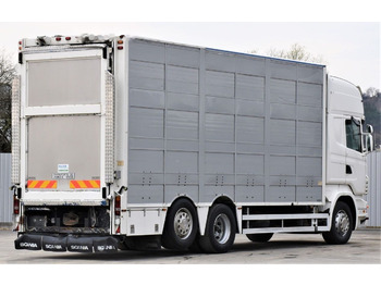 Horse truck Scania R 500 TIERTRANSPORTWAGEN 7,10m / 4STOCK: picture 5