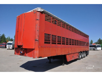 Pezzaioli SCT63U - Livestock semi-trailer: picture 1