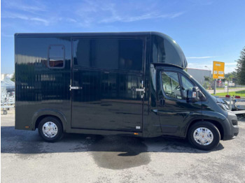 Fiat Böckmann Compact Stall LKW - Horse truck: picture 1