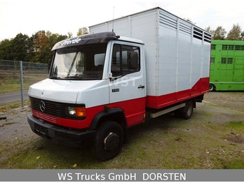 Mercedes-Benz 711  Vollalu Einstock  - Horse truck: picture 4