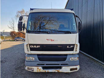DAF LF 55.220 MANUEL / DHOLLANDIA - Curtainsider truck: picture 2