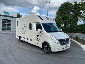 Renault Master / 2 Horse transport Box - Horse truck: picture 1