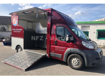 FIAT Ducato Horse Transporter - Horse truck: picture 1