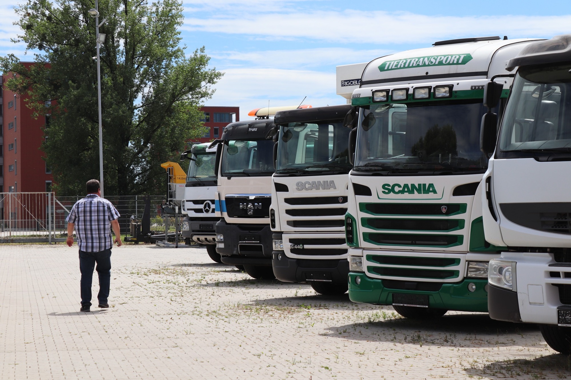 Donau Trucks GmbH undefined: picture 3