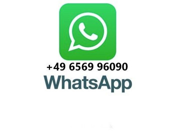 Truck Schmidt Salzstreuer Stratus B80-42 VALN5Z Bandstreuer: picture 2