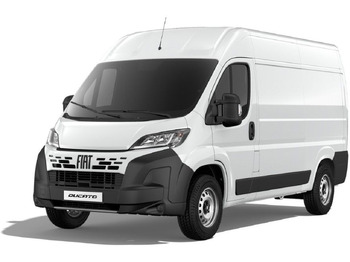 Panel van FIAT Ducato
