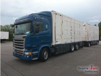 Horse truck SCANIA R 450