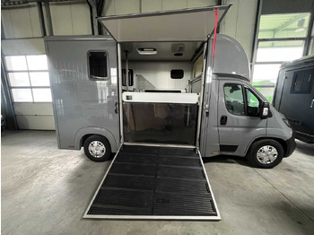 Fiat Compact Basic LKW leasing Fiat Compact Basic LKW: picture 1 Fiat Compact Basic LKW leasing Fiat Compact Basic LKW: picture 1