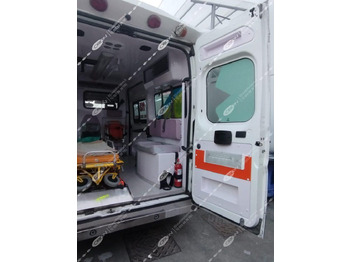 ORION FIAT 250 DUCATO leasing ORION FIAT 250 DUCATO: picture 3