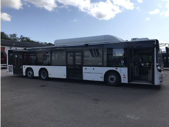 City bus MAN Lion's City A26