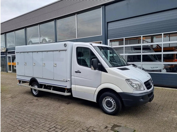 Refrigerated delivery van MERCEDES-BENZ Sprinter 310