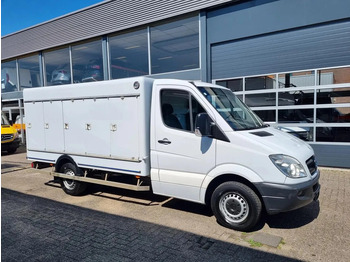 Refrigerated delivery van MERCEDES-BENZ Sprinter 313