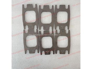 Engine gasket IVECO