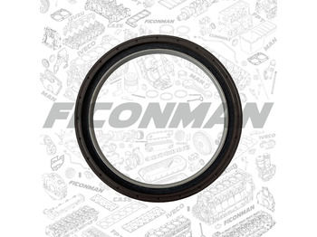 Engine gasket IVECO
