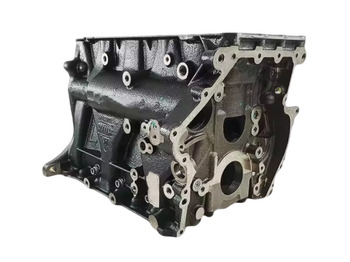 Cylinder block IVECO Daily