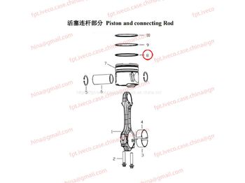 Piston/ Ring/ Bushing MAN